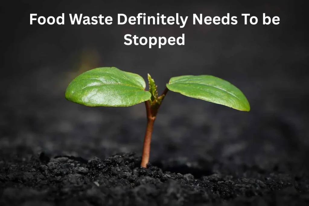 Food, Nature, and Environment