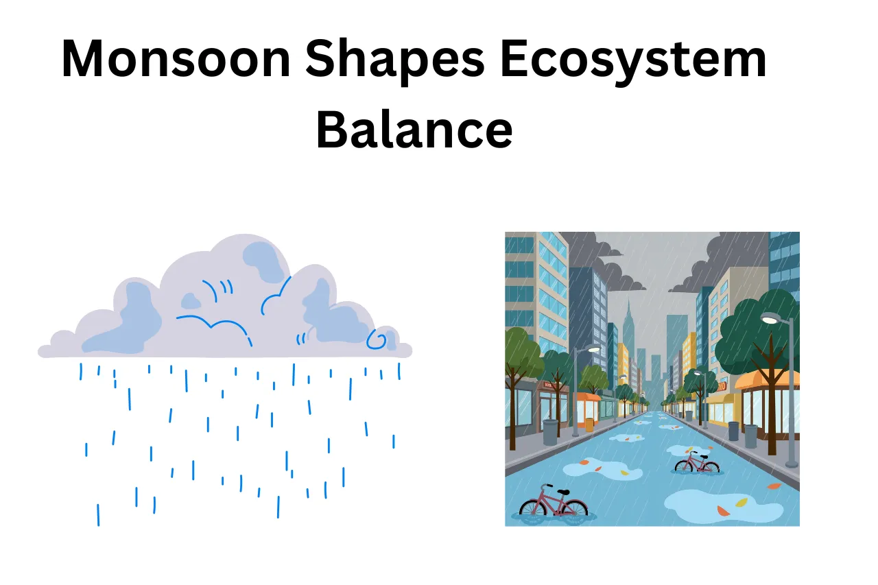How Climate Change Is Reshaping The Monsoon