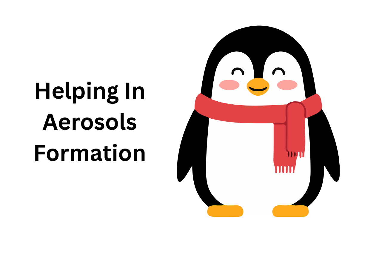 How Penguins Action Are Reducing Climate Change In Antarctica?