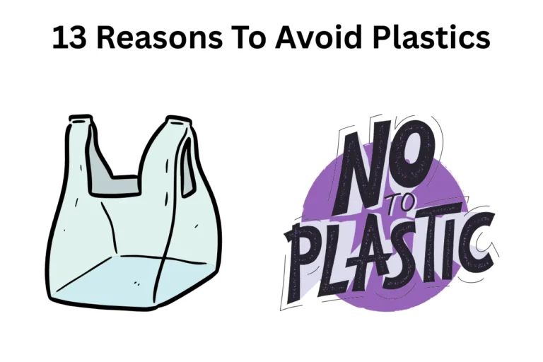 13 Reasons Why We Should Avoid Plastics
