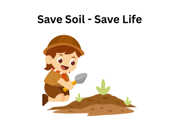 Amazing Soil Conservation Methods
