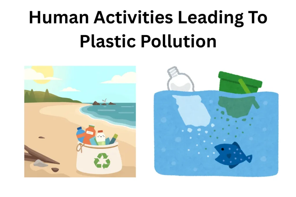 Causes Of Plastic Pollution