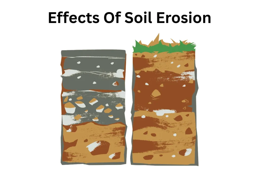 Effects Of Affecting Soil Erosion