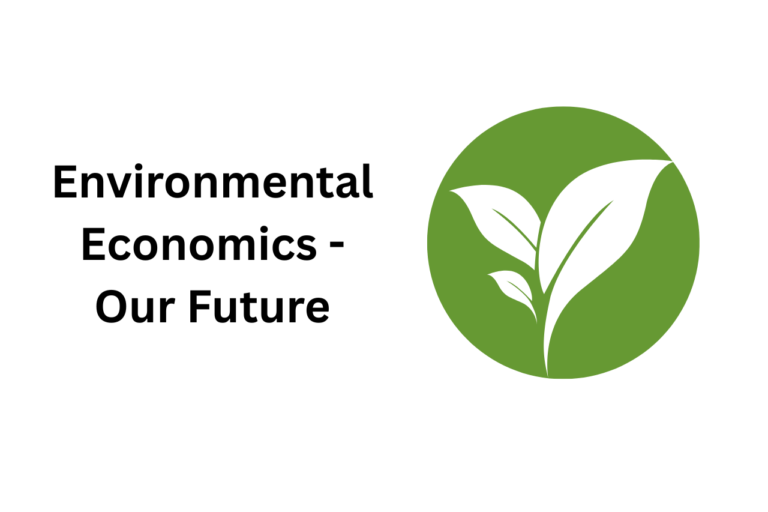 Environmental Economics Easy Guide