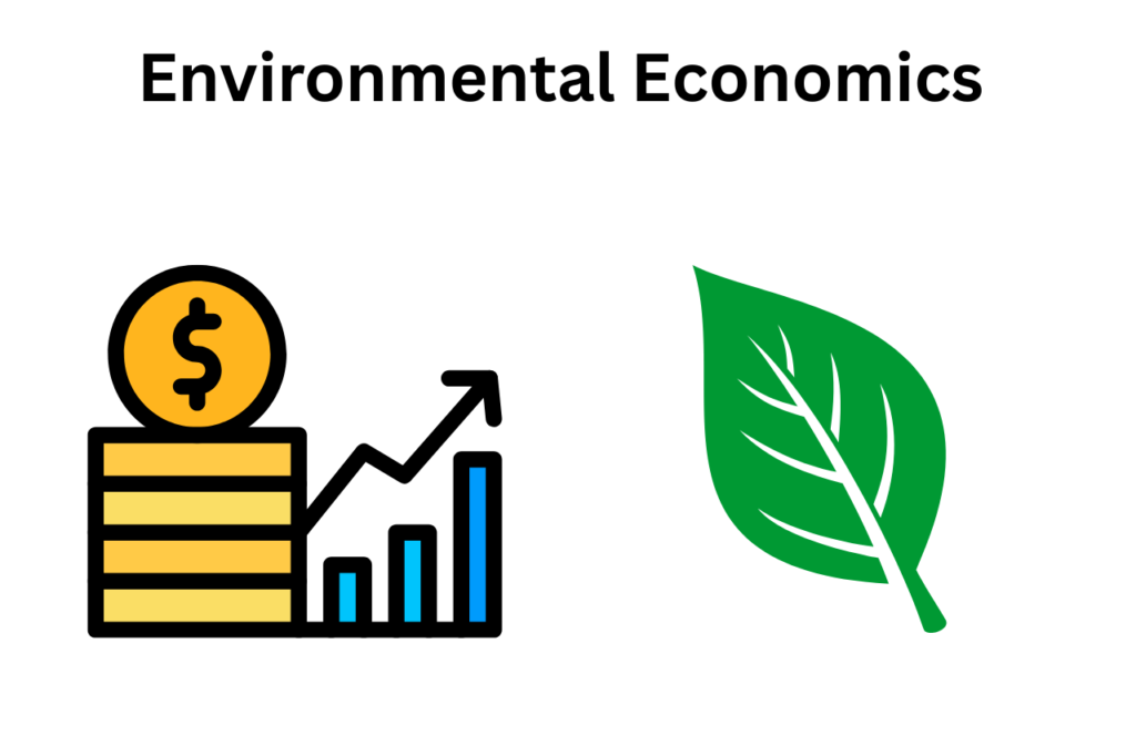 What Is Environmental Economics?