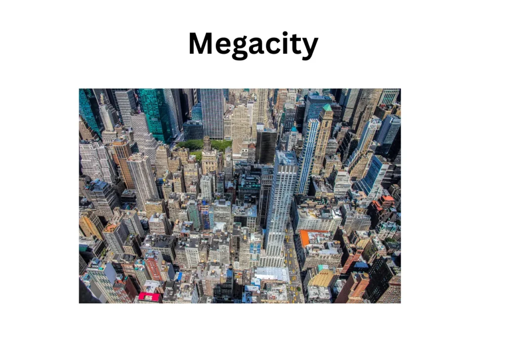 What Is Megacity?