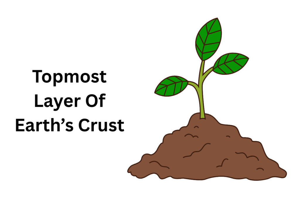 What Is Soil And Types Of Soil