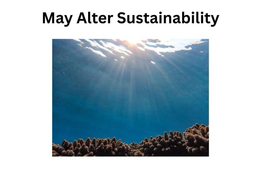 What Is The State Of The Global Ocean